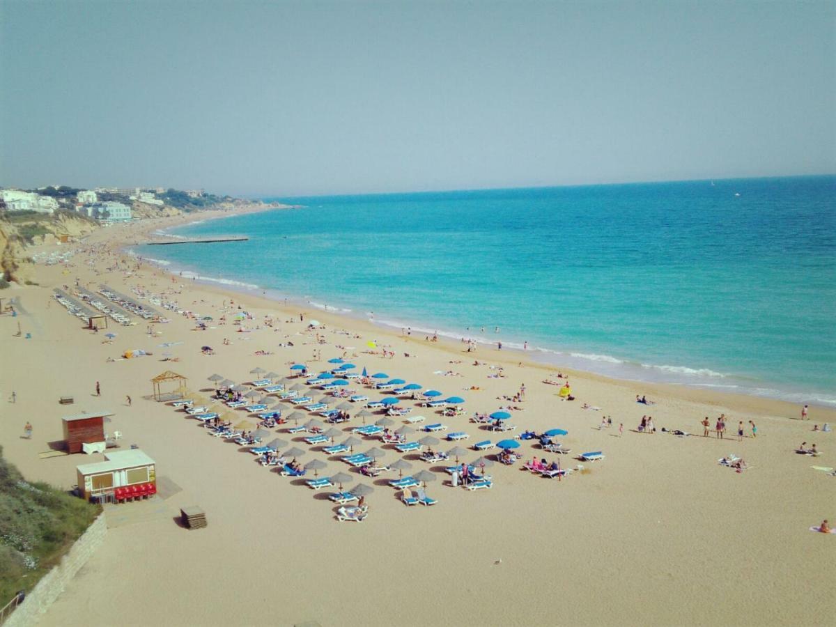 Little Wonder Apartment البوفيرا المظهر الخارجي الصورة